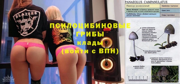 стафф Армянск