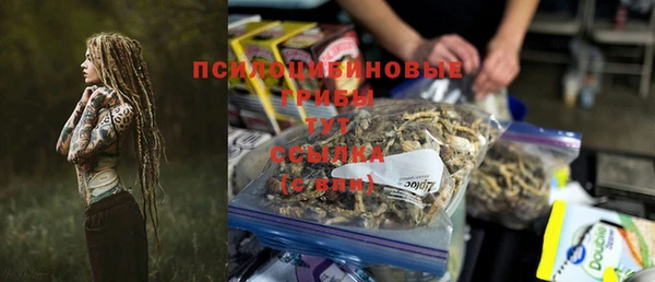 спиды Аркадак
