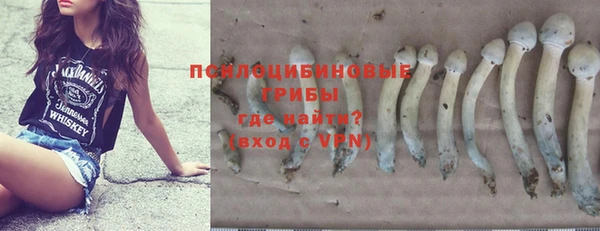 спиды Аркадак